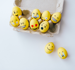 Die 7 Basisemotionen - erkennen, richtig deuten und angemessen reagieren